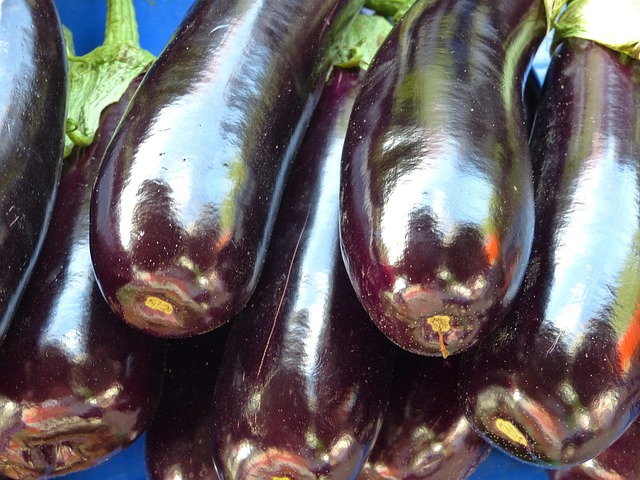 Berenjena
