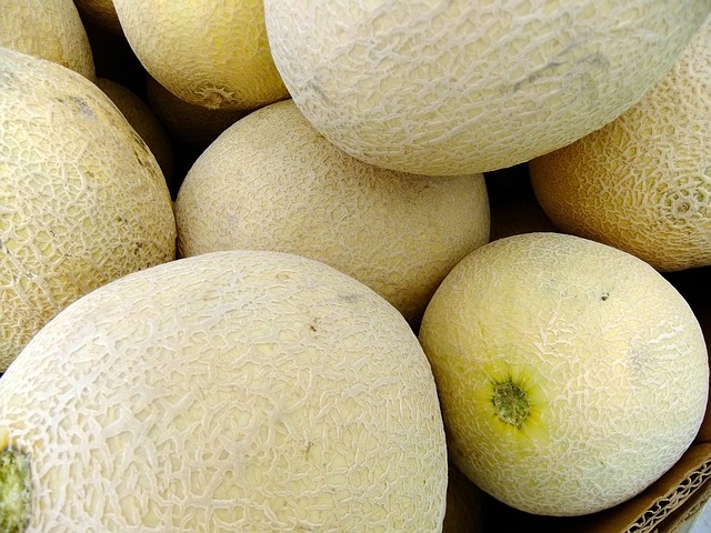 Melón