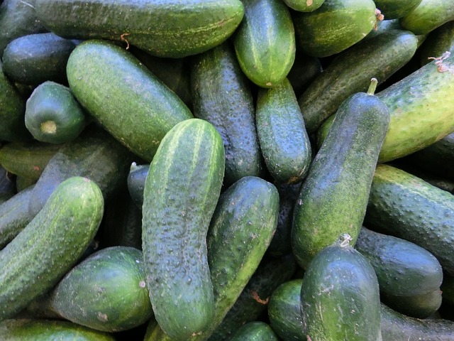 Pepino